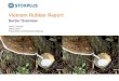 Vietnam Rubber Report - · PDF file3 Plantation Manufacturin g (Domestic) Processing Export Processed Rubber Materials Tires & Tubes Other rubber products 70% 30% 15% 85% Figure 1: