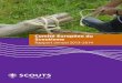 Comité Européen du Scoutisme - europak- · PDF file4 Méthodes de travail 2013-2016 ... Afin de suivre les bonnes résolutions prises lors du triennat précédent, nous faisons régulièrement