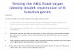 Testing the ABC floral-organ identity model: expression of ... outlines/Biol 433 Lecture 26... · Testing the ABC floral-organ identity model: expression of B function genes Objectives: