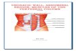 THORACIC WALL, ABDOMINAL REGION, MUSCLES · PDF file06.03.2015 · Provides attachments for ... holds the scapula against the thoracic ... Thoracic wall, abdominal region, muscles