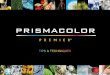 tips & techniques - The Paint Pencil Prismacolor... · PDF filepainting to colored pencil drawing. The possibility of the colored pencil medium can be virtually unlimited by using