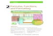 Microsoft 2Formulas, Functions, and Formattingweb.cse.ohio-state.edu/cse1111/Electronic Chapters/Shelly Cashman... · EX 66 Microsoft Excel 2010 2 Formulas, Functions, and Formatting