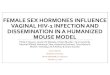 FEMALE SEX HORMONES INFLUENCE VAGINAL HIV  · PDF filefemale sex hormones influence vaginal hiv‐1 infection and dissemination in a humanized mouse model ... john ng, ana aquino