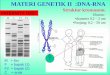MATERI GENETIK II :DNA-RNA - · PDF fileKromosom ta: protein dan asam nukleat ... merunut nukleotida penyusun rangkaian molekul DNA. A probe is a piece of complementary DNA of known