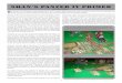 Shan’s Panzer IV Primer - Bard's Abode IV Primer_Shan.pdf · Panther, the Panzer IV’s ... Shan’s Panzer IV Primer ... tanks, and cannot operate well on their own—never in