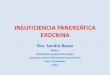INSUFICIENCIA PANCREÁTICA  · PDF fileTradicionalmente se la asocia a pancreatitis crónica, pero existen muchas causas. Las mismas son catalogadas como primarias o secundarias