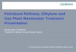 Petroleum Refinery, Ethylene and Gas Plant Wastewater ... · PDF filePetroleum Refinery, Ethylene and Gas Plant Wastewater Treatment Presentation For internal use only / Copyright