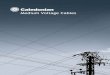 Medium Voltage Cables - Caledonian Cables Ltd. Voltage Cables.pdf · Medium Voltage Cables to IEC 60502 Single Core Cables to IEC 60502 ... The MV cable manufacturing facility at