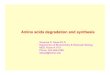 Amino acids degradation and synthesis - School of · PDF fileAmino acids degradation and synthesis Shyamal D. Desai Ph.D. Department of Biochemistry & Molecular Biology MEB. Room #