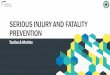 SERIOUS INJURY AND FATALITY · PDF file4 - Eliminating Higher Potential Events - Risk Tolerance / Approaching Others - Actively Caring - Serious Injury & Fatality (SIF) Study / focus