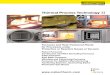 Thermal Process Technology - Nabertherm · PDF fileMade in Germany Nabertherm with 500 employees worldwide have been developing and producing industrial furnaces for many different
