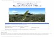 AVSIM Commercial FSX Aircraft Review Wings Of Power ... · PDF fileAVSIM Commercial FSX Aircraft Review Wings Of Power Heinkel HE219 UHUX ... eyesight being affected by the muzzle