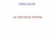 ENOLOGIA LA MATERIA PRIMA - Since 1995 · PDF fileL’ACINO La BUCCIA è la sede del colore, dei precursori degli aromi (norisoprenoidi), dei terpeni (in genere glicosidati) ed anche