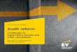 EY - Pocketguide Audit · PDF fileUnder the German Audit Reform Act the establishment of an audit committee is (still) not mandatory. The legal situation is unchanged for listed entities