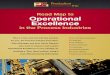 Road Map to Operational Excellence - Process · PDF fileRoad Map to Operational Excellence in the Process Industries This is a two and one half day seminar for you, the Process Industry