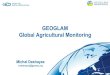 GEOGLAM Global Agricultural Monitoring Michel · PDF fileC. Lelong CIRAD 28 / 30 . Implementation Challenges ... GEOGLAM Global Agricultural Monitoring Michel Deshayes Author: Michel