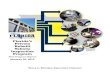 Inspection Program - Florida Department of Highway · PDF fileFlorida’s Private Rebuilt Vehicle Inspection Program: Pilot Program Report 3 Due to the high demand for rebuilt inspection