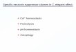 Specific necrosis suppressor classes in C. elegans affect ... · PDF fileSpecific necrosis suppressor classes in C. elegans affect: ... ASP-3 and ASP-4 are Mostly Required for Necrotic