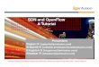 SDN Openflow tutorial 1 - Rice · PDF fileSDN and OpenFlow A Tutorial IP Infusion Proprietary and Confidential, released under Customer NDA , ... Part II - OpenFlow •Introduction