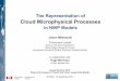 The Representation of Cloud Microphysical Processes · PDF fileThe Representation of Cloud Microphysical Processes ... particle size distribution, N(D) ... better representation of