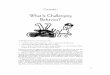 What Is Challenging Behavior? - ??C HAPTER 1 What Is Challenging Behavior? Challenging behavior is any behavior that â€¢ interferes with a childâ€™s cognitive, social, or