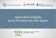 Agricultura Irrigada en la Provincia de Río Negro - fao. · PDF file• Diseño de obras de obras de riego y drenaje • Validación de indicadores 1. ... 10 Tecnologías de Aplicación