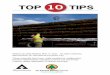 Top 10 Tips for Truckers - BC Forest Safe Tips for Truckers Aug 11 final... · • The Top 10: Why they are ... calories to your diet and slowing down digestion. Too much fat can