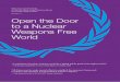 EDITION 1.0 Open the Door to a Nuclear Weapons Free · PDF fileOpen the Door to a Nuclear Weapons Free World ... breaking the current deadlock. ... negotiations on nuclear disarmament