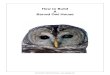 How to Build A Barred Owl House - The Owl Pages · PDF fileHow to Build A Barred Owl House - Items Needed to make your Barred Owl House: Tools you will need: • Hand Saw, or Circular