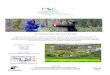 International Baccalaureate Biology - · PDF fileIB Biology: Fieldwork investigations FSC Rhyd-y-creuau, ... (G.2.7/G.3.2). Discussion of the role of active management and conservation