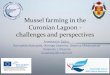 Mussel farming in the Curonian Lagoon ‐ challenges and ... praesentationen/Zaiko... · Ecological features of the Curonian Lagoon O Depths, m: mean 3,8 m; max 5,8 m; O Salinity,