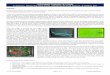 Volkswagen Cabriolet DIY Guide - Cabby Infocabby-info.com/Files/AdjustingAirFuelMixture.pdf · © 2015 KamzKreationz Page 3 of 15 K 