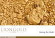 Going for Gold - listed companyliongoldcorp.listedcompany.com/misc/slides_151112.pdf · November 2012 4 LionGold Corp - Going for Gold Dynamic, Expanding Business • Gold mining