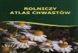 · PDF fileBIOLOGIA CHWASTÓW Wprowadzenie Chwasty polne Grupy biologiczne chwastów polnych Grupy ekologiczne chwastów polnych Dominujqcy czynnik ekologiczny