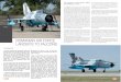Romanian aiR FoRce LanceR’s to FaLcons - · PDF fileThe integration of the MiG-21 within the Romanian Air Force ... MiG-21PF was referred to as RFM “Radar, Forţaj, Modernizat”,