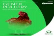 PREMIUM QUALITY FEED-ENHANCER GENEX -   QUALITY FEED-ENHANCER Cleaner feed, improved productivity GENEX POULTRY SPECIES POULTRY