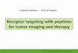 Receptor targeting with peptides for tumor imaging and  · PDF fileAndrea Calderan - UOS di Padova Receptor targeting with peptides for tumor imaging and therapy