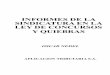 INFORMES DE LA SINDICATURA EN LA LEY DE CONCURSOS Y QUIEBRASdatos.aplicacion.com.ar/previews/2014/9789871745937_nedel_sindicat... · (1994), "Concursos y Quiebras Ley 24522, la actuación