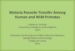 Malaria Parasite Transfer Among Human and Wild Primates · PDF fileMalaria Parasite Transfer Among Human and Wild Primates ... may belong to the ovale group. ... disease of malaria