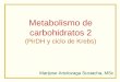 Metabolismo de carbohidratos 2 (PirDH y ciclo de Krebs) · PDF fileDeficiencia de piruvato deshidrogenasa: • Causa más común de acidosis láctica (no fisiológica) • El encéfalo