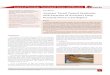 Anterior Tarsal Tunnel Syndrome with Presence of · PDF fileCitation: Sinanović O, Zukić S, Pirić N, Brkić H, Hodžić M, et al. (2015) Anterior Tarsal Tunnel Syndrome with Presence
