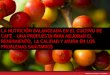 LA NUTRICIÓN BALANCEADA EN EL CULTIVO DE CAFE - · PDF filePoda, manejo de tejidos, mejoramiento genético Servicios técnicos, investigación capacitación y ... contaminación de