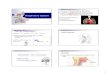 Respiratory System PPT. - Mrs. Reece's Science ??Respiratory System Human Respiratory ... Bronchioles Bronchioles Bronchioles Lung ... Microsoft PowerPoint - Respiratory System PPT