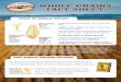 whole grains Fact sheet - Wheat · PDF filewhole grains Fact sheet what is whole grain? Whole grains not only retain more B vitamins, minerals like iron and zinc, protein and ... (such
