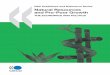Natural Resources and Pro-Poor Growth - OECD. · PDF fileNatural Resources and Pro-Poor Growth ... and the politics and governance of natural resources. It then offers recommendations