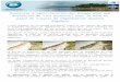 Web viewde photographies de la plage (dune, haut de plage, sable, algues, aménagements) en y spécifiant le Numéros du site