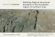 Defining Zagros structural domains in the Kurdistan · PDF fileDefining Zagros structural domains in the Kurdistan ... Kurdish geology literature still influenced by pre-Plate Tectonic