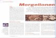 Morgellonen - Wissenschaft3000 · PDF fileMorgellonen Author: Ekkehard Sirian Scheller Subject: Morgellons Keywords: Morgellons, Nanopartikel, Parasitenwahn, Created Date: 10/26/2011