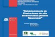Plantaciones de alta Biodiversidad (Método Kageyama)  · PDF filePatricio Chung G-P., Ingeniero Forestal; Patricio Rojas V.,