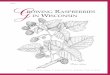Growing Raspberries in Wisconsin (A1610) - FRUTALES · PDF fileb rian r. smith, daniel l. mahr, pa tricia s. mc m anus, terylr. roper g rowing raspberries in wisconsin a1610 rubus